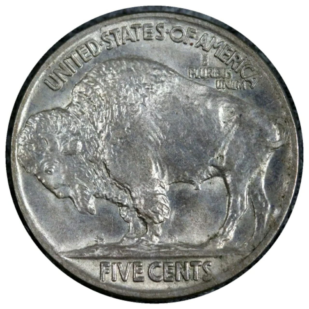 1913-5c-T2-Buffalo-Nickel-#3